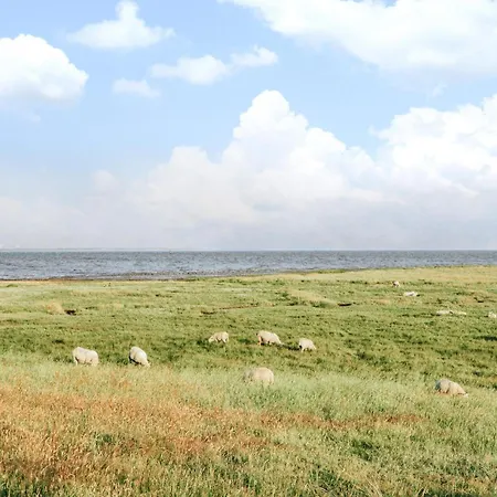 Tatil Evi Amazing In Romo With Kitchen